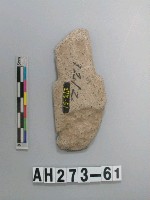 藏品(磨製有肩石斧)的圖片